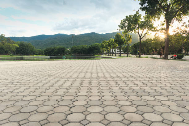 Residential Paver Driveway in Lancaster, TX